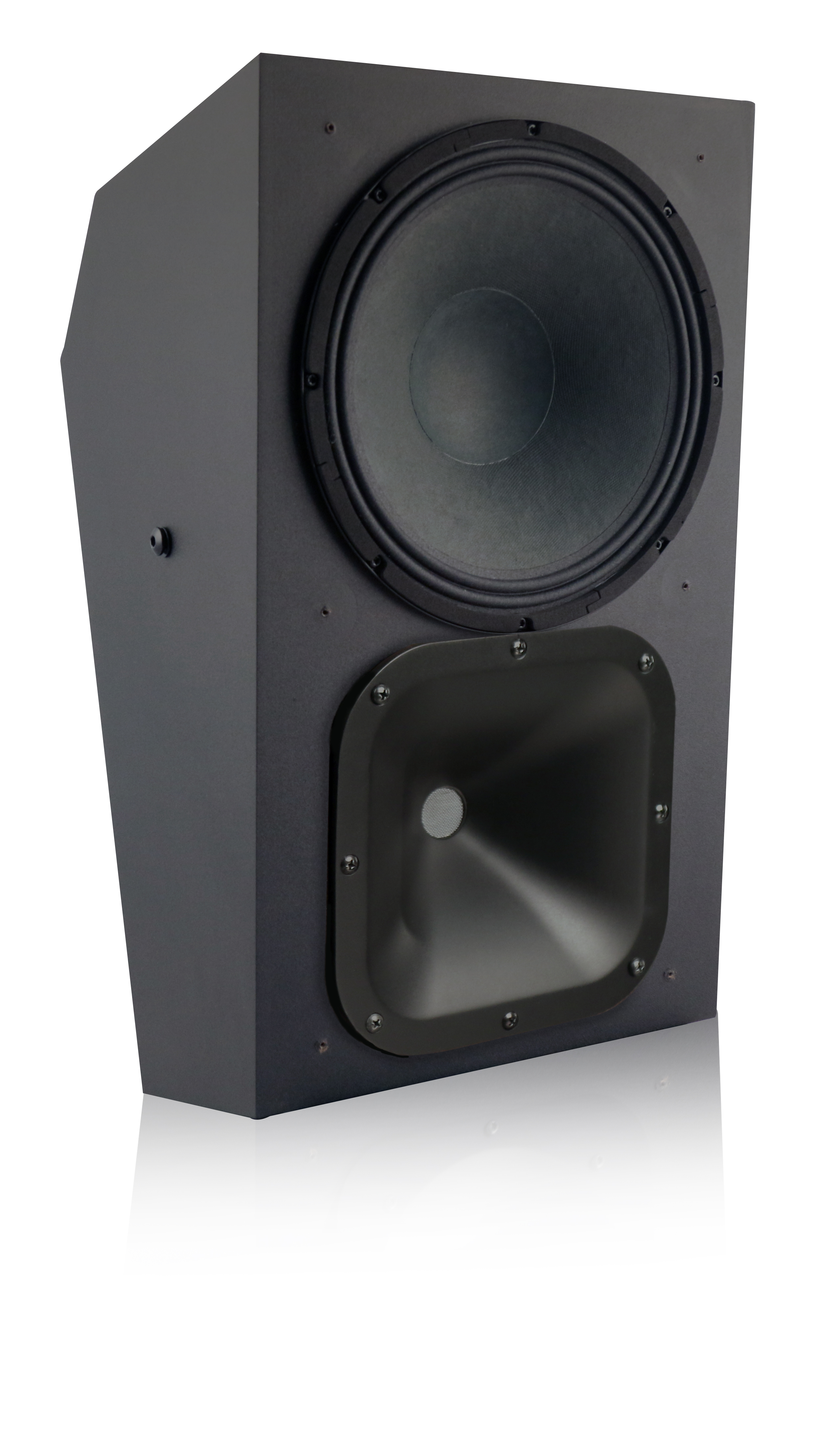 SR-1000扬声器 - 向左倾斜角度图（无网罩）